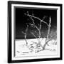 Cuba Fuerte Collection SQ BW - Tropical Beach Nature-Philippe Hugonnard-Framed Photographic Print