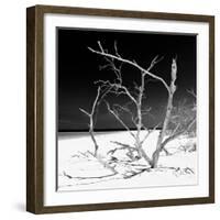 Cuba Fuerte Collection SQ BW - Tropical Beach Nature-Philippe Hugonnard-Framed Photographic Print