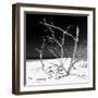 Cuba Fuerte Collection SQ BW - Tropical Beach Nature-Philippe Hugonnard-Framed Photographic Print