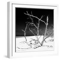 Cuba Fuerte Collection SQ BW - Tropical Beach Nature-Philippe Hugonnard-Framed Photographic Print