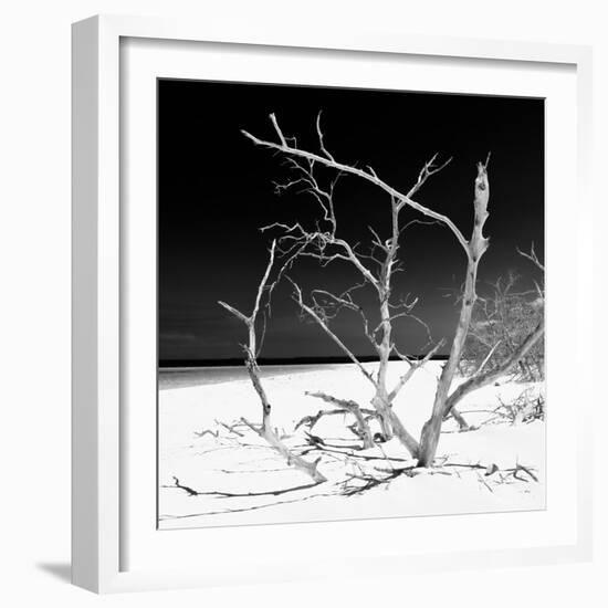 Cuba Fuerte Collection SQ BW - Tropical Beach Nature-Philippe Hugonnard-Framed Photographic Print