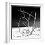 Cuba Fuerte Collection SQ BW - Tropical Beach Nature-Philippe Hugonnard-Framed Photographic Print