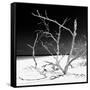 Cuba Fuerte Collection SQ BW - Tropical Beach Nature-Philippe Hugonnard-Framed Stretched Canvas