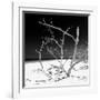 Cuba Fuerte Collection SQ BW - Tropical Beach Nature-Philippe Hugonnard-Framed Photographic Print