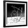 Cuba Fuerte Collection SQ BW - Tropical Beach Nature-Philippe Hugonnard-Framed Photographic Print