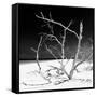 Cuba Fuerte Collection SQ BW - Tropical Beach Nature-Philippe Hugonnard-Framed Stretched Canvas