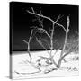 Cuba Fuerte Collection SQ BW - Tropical Beach Nature-Philippe Hugonnard-Stretched Canvas