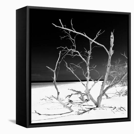 Cuba Fuerte Collection SQ BW - Tropical Beach Nature-Philippe Hugonnard-Framed Stretched Canvas