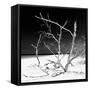 Cuba Fuerte Collection SQ BW - Tropical Beach Nature-Philippe Hugonnard-Framed Stretched Canvas