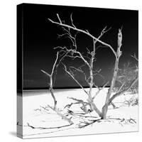 Cuba Fuerte Collection SQ BW - Tropical Beach Nature-Philippe Hugonnard-Stretched Canvas
