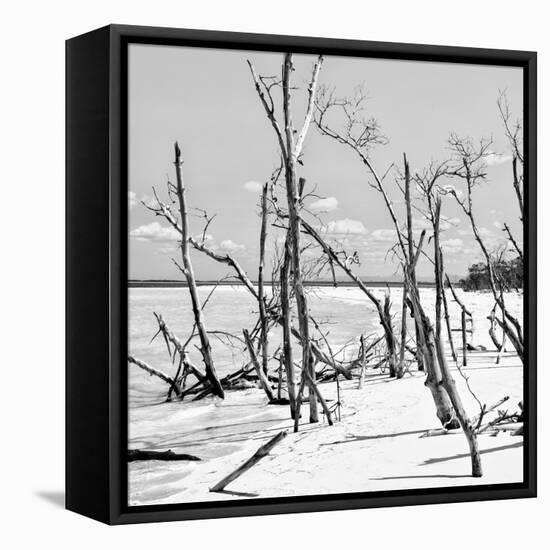 Cuba Fuerte Collection SQ BW - Tropical Wild Beach II-Philippe Hugonnard-Framed Stretched Canvas