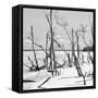 Cuba Fuerte Collection SQ BW - Tropical Wild Beach II-Philippe Hugonnard-Framed Stretched Canvas