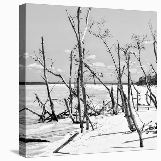 Cuba Fuerte Collection SQ BW - Tropical Wild Beach II-Philippe Hugonnard-Stretched Canvas