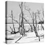 Cuba Fuerte Collection SQ BW - Tropical Wild Beach II-Philippe Hugonnard-Stretched Canvas