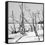 Cuba Fuerte Collection SQ BW - Tropical Wild Beach II-Philippe Hugonnard-Framed Stretched Canvas