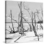 Cuba Fuerte Collection SQ BW - Tropical Wild Beach II-Philippe Hugonnard-Stretched Canvas