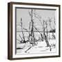 Cuba Fuerte Collection SQ BW - Tropical Wild Beach II-Philippe Hugonnard-Framed Photographic Print