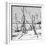 Cuba Fuerte Collection SQ BW - Tropical Wild Beach II-Philippe Hugonnard-Framed Photographic Print