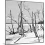 Cuba Fuerte Collection SQ BW - Tropical Wild Beach II-Philippe Hugonnard-Mounted Photographic Print