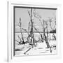 Cuba Fuerte Collection SQ BW - Tropical Wild Beach II-Philippe Hugonnard-Framed Photographic Print