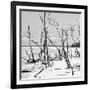 Cuba Fuerte Collection SQ BW - Tropical Wild Beach II-Philippe Hugonnard-Framed Photographic Print