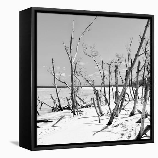 Cuba Fuerte Collection SQ BW - Tropical Wild Beach-Philippe Hugonnard-Framed Stretched Canvas