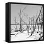 Cuba Fuerte Collection SQ BW - Tropical Wild Beach-Philippe Hugonnard-Framed Stretched Canvas