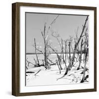 Cuba Fuerte Collection SQ BW - Tropical Wild Beach-Philippe Hugonnard-Framed Photographic Print