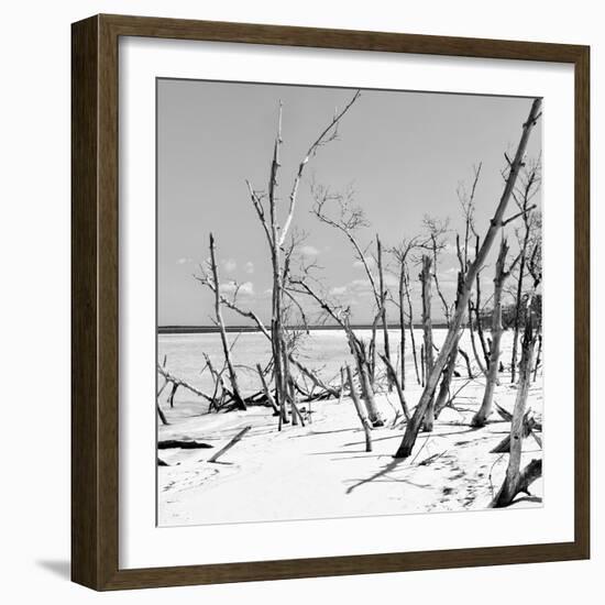 Cuba Fuerte Collection SQ BW - Tropical Wild Beach-Philippe Hugonnard-Framed Photographic Print