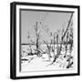 Cuba Fuerte Collection SQ BW - Tropical Wild Beach-Philippe Hugonnard-Framed Photographic Print