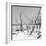 Cuba Fuerte Collection SQ BW - Tropical Wild Beach-Philippe Hugonnard-Framed Photographic Print