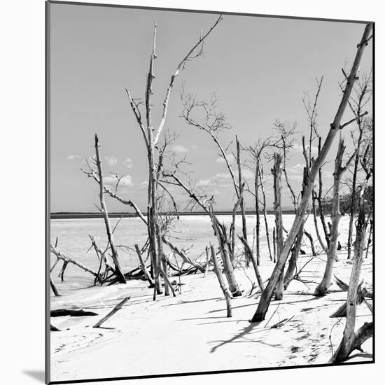 Cuba Fuerte Collection SQ BW - Tropical Wild Beach-Philippe Hugonnard-Mounted Photographic Print
