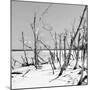 Cuba Fuerte Collection SQ BW - Tropical Wild Beach-Philippe Hugonnard-Mounted Photographic Print