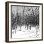 Cuba Fuerte Collection SQ BW - White Forest II-Philippe Hugonnard-Framed Photographic Print