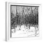 Cuba Fuerte Collection SQ BW - White Forest II-Philippe Hugonnard-Framed Photographic Print
