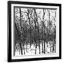 Cuba Fuerte Collection SQ BW - White Forest III-Philippe Hugonnard-Framed Photographic Print
