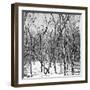 Cuba Fuerte Collection SQ BW - White Forest-Philippe Hugonnard-Framed Photographic Print