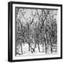 Cuba Fuerte Collection SQ BW - White Forest-Philippe Hugonnard-Framed Photographic Print