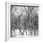 Cuba Fuerte Collection SQ BW - White Forest-Philippe Hugonnard-Framed Photographic Print