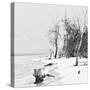 Cuba Fuerte Collection SQ BW - White Sand Beach-Philippe Hugonnard-Stretched Canvas