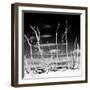 Cuba Fuerte Collection SQ BW - White water Tree Forest-Philippe Hugonnard-Framed Photographic Print