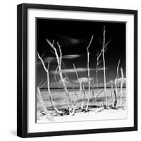 Cuba Fuerte Collection SQ BW - White water Tree Forest-Philippe Hugonnard-Framed Photographic Print