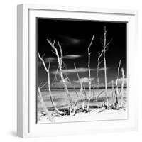 Cuba Fuerte Collection SQ BW - White water Tree Forest-Philippe Hugonnard-Framed Photographic Print