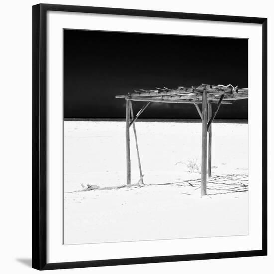 Cuba Fuerte Collection SQ BW - Wild Arbor-Philippe Hugonnard-Framed Photographic Print