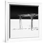 Cuba Fuerte Collection SQ BW - Wild Arbor-Philippe Hugonnard-Framed Photographic Print