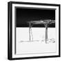 Cuba Fuerte Collection SQ BW - Wild Arbor-Philippe Hugonnard-Framed Photographic Print