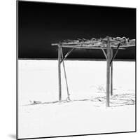 Cuba Fuerte Collection SQ BW - Wild Arbor-Philippe Hugonnard-Mounted Photographic Print