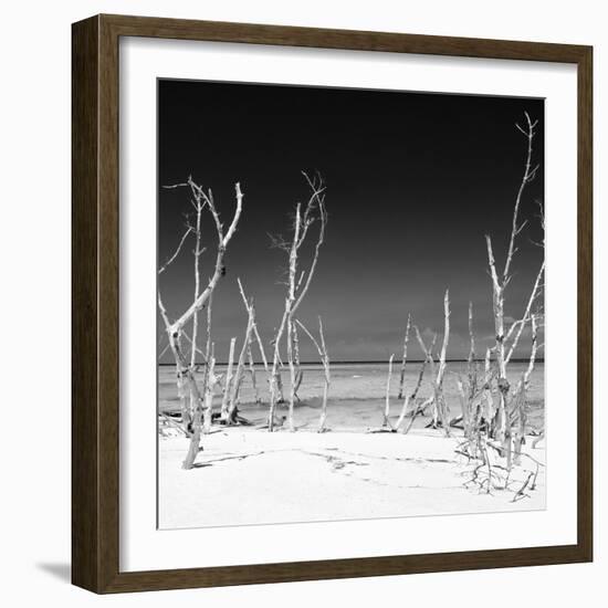 Cuba Fuerte Collection SQ BW - Wild Beach-Philippe Hugonnard-Framed Photographic Print