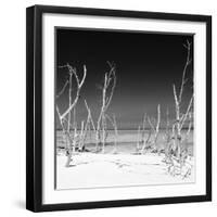 Cuba Fuerte Collection SQ BW - Wild Beach-Philippe Hugonnard-Framed Photographic Print
