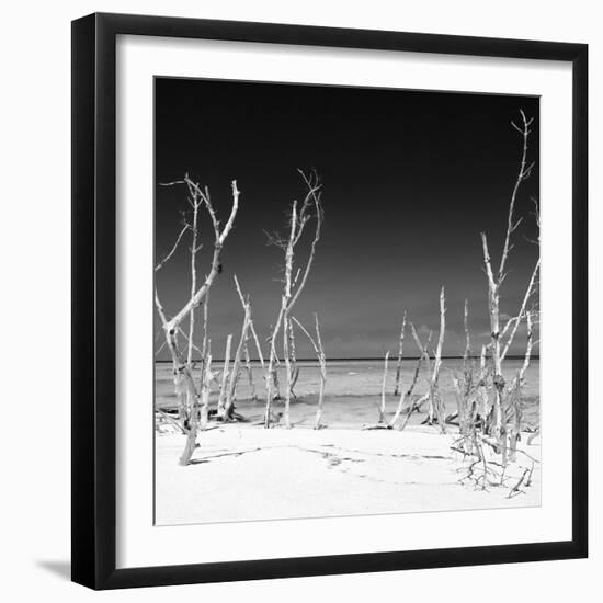 Cuba Fuerte Collection SQ BW - Wild Beach-Philippe Hugonnard-Framed Photographic Print